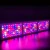 Import Hot Selling LED Grow VEG Double Ended Grow Light Lens LED Grow Lights 1000W from China