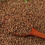 Huantai Golden yellow  500g healthy tartary buckwheat
