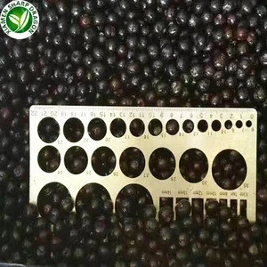 Import bulk berries  fruits prices frozen fresh blueberries iqf