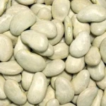 Large white lima Beans