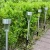 Import lawn bollard solar outdoor lights garden stainless lamp from China