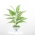 Import Low price hot sale home decoration artificial greenery plants small bonsai in pot table decoration from China