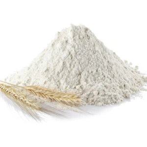 low price wheat flour
