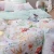 Import Luxury  Bamboo Tencel Bed Sheet  Bedding Set Bed Sheet from China