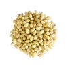 Manufacturer Supply Chinese Quality Pine Nut For Wholesale