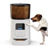Manufacturer Wifi Microchip Pet Voice Record Automatic Cat Feeder Timing Ration Dog Feeder