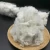 Mass production polyester fiber /textile fibre with nice price