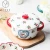 Import Multi Designs Wholesale Porcelain Mini Tureen Ceramic Soup Instant Noodles Bowl With Lid Handle 1101 from China