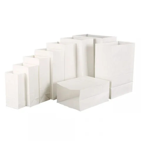 Multi-Purpose Biodegradable Durable Cafes Delis Snack Bags Recyclable 6lb White Brown Kraft Lunch Bag Eco Paper For Food Storage