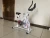 Import MZ Gym Cycle Wholesale Machine Exercise Bike for Indoor Motion from China