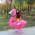 Import New Arrival Woman Cosplay Cloth Inflatable Flamingo Costume Halloween Party Blow Up Costume Cosplay Fabric from China