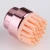 Import New Beauty Care USB Automatic Electric Makeup Brush Cleaner from China