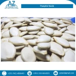 New Crop 45% Oil Content Top Grade Quality Natural White Pumpkin Seeds