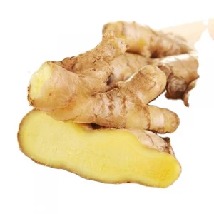 New Crop Chinese Fresh Ginger Price Per Ton From Professional Factory