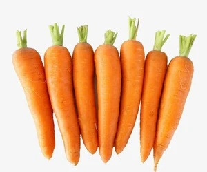 New crop fresh carrot specification for sale