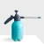 Import New designPlastic Garden Sprayer Best selling watering can from China