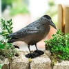New Garden Artificial Decoration Ornaments Outdoor Flocked Hard Plastic Black Hunting Crow Decoy with Stand Body Feet Stake