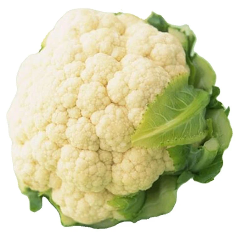 New Harvest Green leaf Vegetables Fresh  High Quality White Cauliflower