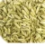 Import New Harvester Crop Raw Fennel Seed and Fennel Seed from India