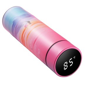 New Product 2020 Custom Logo Temperature Display Stainless Steel Vacuum Insulated Smart LED Water Bottle