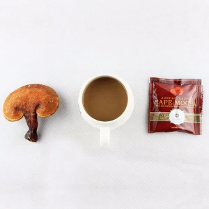 OEM Hot Selling Instant Mushroom Reishi Ganoderma Lucidum Lingzhi Mocha Coffee with Private Label