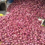 onion
