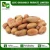 Import Organic Cocoa Beans from India