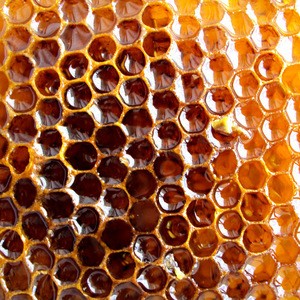 Organic Heather Honey for sale