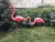 Import Pair Of Pink Lawn Pond Garden Plastic Flamingo Ornaments Party Decor from China