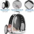 Import Panoramic PVC Transparent Cat Bag Bike Backpack Pet Carriers for Cat from China