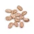 Import Peru Grown Fresh Pinto Beans Dry Robinson Fresh MOQ 50 LBS Quick Delivery in US from USA