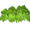 Philippines Fresh Cavendish Bananas