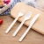 Import Plastic Disposable PLA Cutlery Fork / Knife / Spoon / Flatware Set For  Dinner  6&quot; and 7&quot; from China