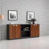 Popular Design Modern Style Office Storage Filing Cabinet With Price