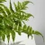Import Popular indoor plastic plant bonsai artificial plant for home decoration from China