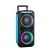 Import Portabale trolley speakers outdoor audio subwoofer plug USB flash drive speakers trolley inch with Rotating lights from China