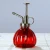 Import Portable and efficient watering can ,Delicate glass watering pot from China