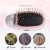 Import Portable Electric Ionic Hair brush Negative Ions Scalp Massage Care Comb Modeling Styling Hairbrush from China