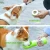 Import Portable Pet Dog Water Bottle for Small Large Dogs Pet Product Travel Puppy Drinking Bowl Outdoor Pet Water Dispenser Dog Feeder from China