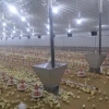 Poultry farm accessories equipment cost suppliers for chicken