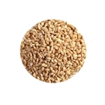 Premium Barley Grain Animal Feed Bulk Barley Grains Barley Seeds