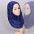 Import Premium Big Size Muslim Woman Cotton Scarves Shawls Jersey Muslim Hijab Scarf With Good Stitch Stretchy Shawls Scarf from China