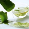 Private Label OEM/ODM Natural Organic Aloe Vera Gel Bulk Sunburn  Moisturizing Aloevera Extract Whitening Facial & Body Care