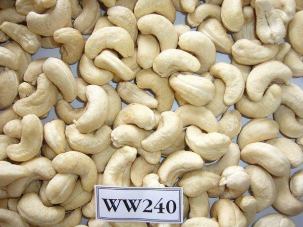Processed Cashew Nuts W320 and W240 Cahew Nuts