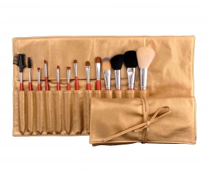 Professional Makeup Brush with Cosmetics Bag