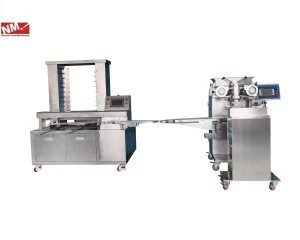 Professional Panda cookie,Penguin cookie encrusting production machinery NM2860-X