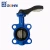 Import PTFE Lined Manual Wafer Butterfly Valve from China