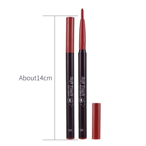 QIC lip Liner matte waterproof non stick automatic rotary fog face lipstick factory wholesale