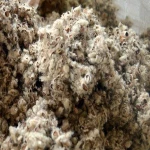 quality Cotton Seed Hull/Raw Cotton/Cotton Linter