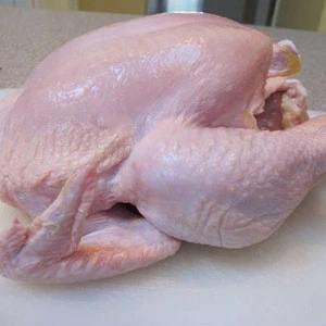 Quality Halal Frozen Whole Chicken and Parts / Thighs / Feet / Paws